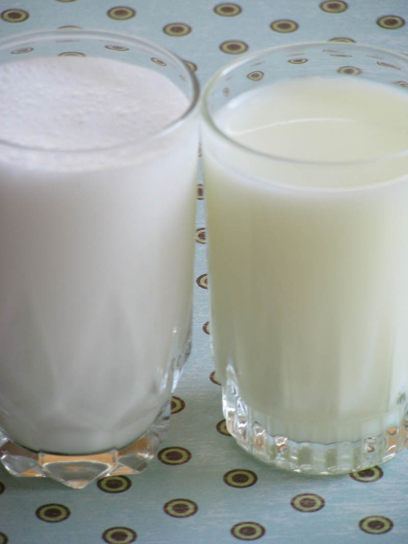 Coconut_milk_vs_reg_milk_5