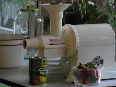 Champion Juicer