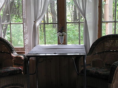 Out my kitchen window lower level