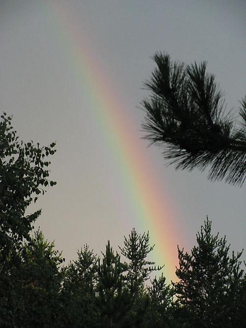 7-16-08 rainbow