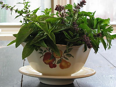 Herb bouquet