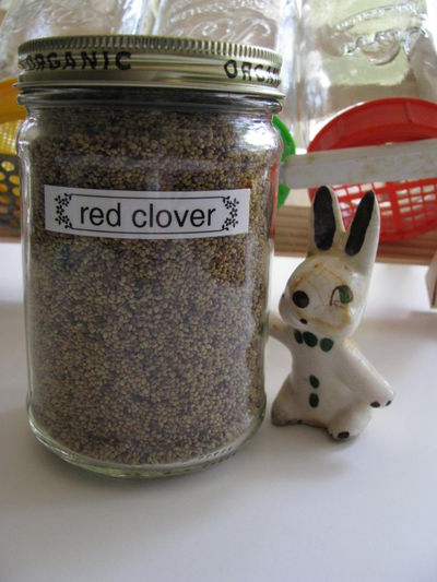 Sprouting seed jar labeled