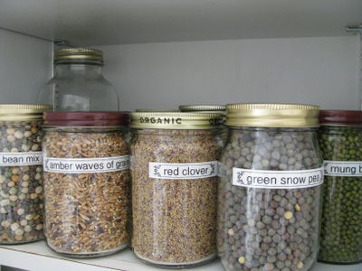 Sprouting seeds labeled