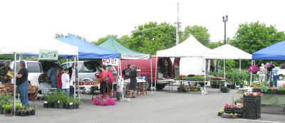 Brainerd's early june farmer's market