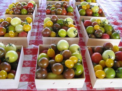 Heirloom tomatoes mpls farmers mkt