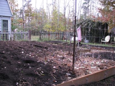 Garden cleanup Oct 2009