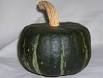 Buttercup squash