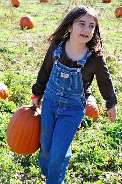 Madigan pumpkin patch 2009