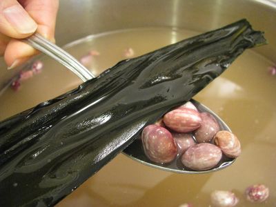 Kombu seaweed dehydrated