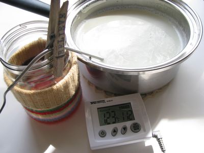 Digital thermometer