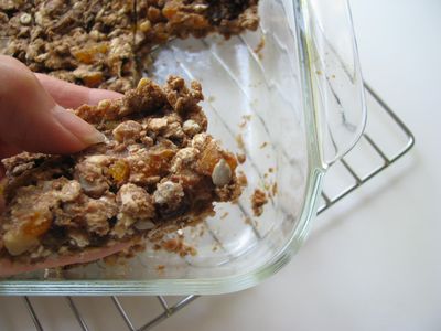 Fruit and nut bars