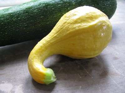 Zucchini and yellow squash