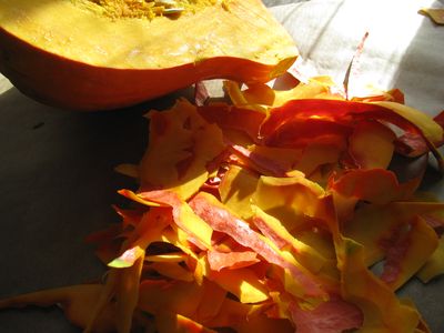 Red kuri squash peelings