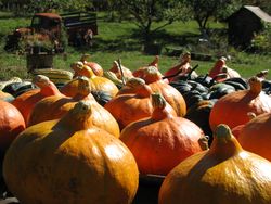 Squash north wind farm