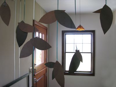 Woodland forest entry Woodland forest entry