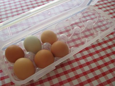 Egg container
