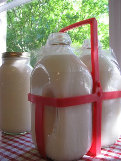 Glass milk bottle carrier