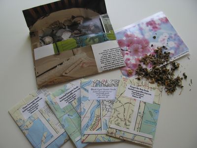 Ragamuffin seed order