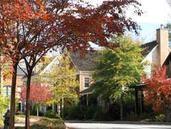 Serenbe selborne hamlet