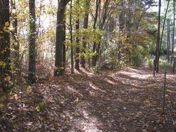 Serenbe walking trail