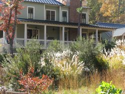 Serenbe yard native planting