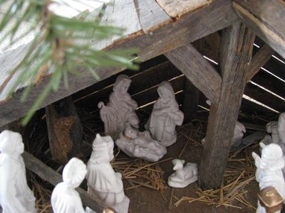 Nativity Nativity
