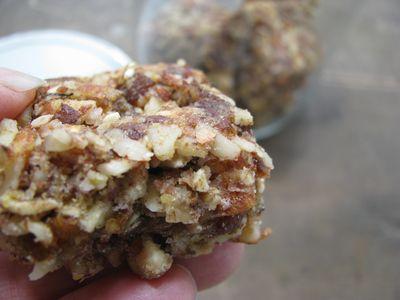 Nutty fruit bar