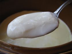 Crockpot yogurt spoonful