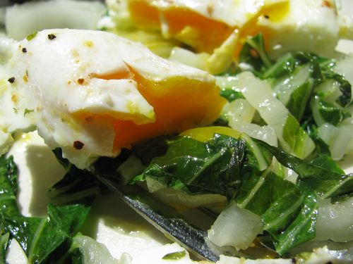 Deep orange yolk atop bok choy