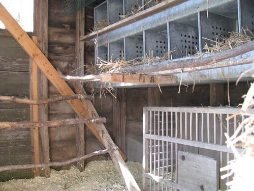 Chicken coop cleaned Chicken coop cleaned
