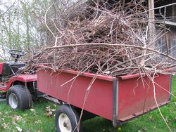 Brush pile