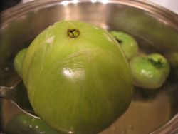 Scalding tomatoes