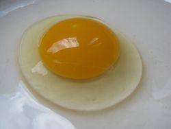 Fresh egg