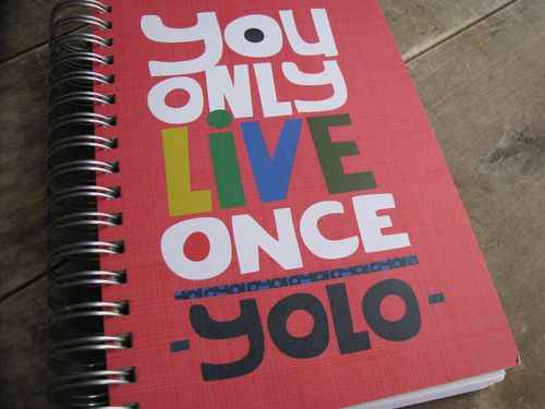 Yolo notebook