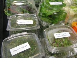 Locally grown greens adams farms Locally grown greens adams farms