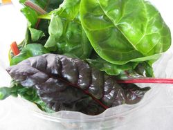 Locally grown greens Locally grown greens