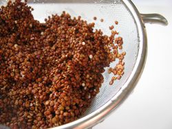 Rinsed quinoa