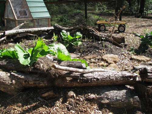 Learning gate stump branch enclosure