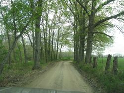 Baker creek seed country road