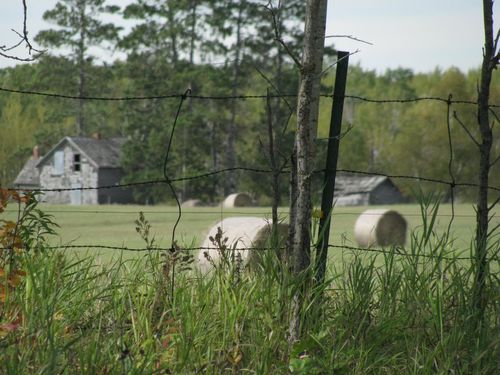 Backus to hackensack bike trail abandoned farm