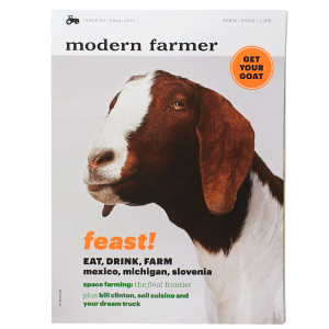 Modern farmer issue 2