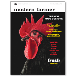 Modern farmer issue 1