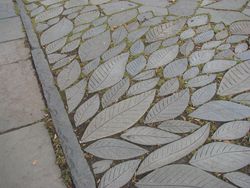 Concrete leaf walkway