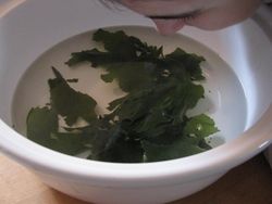 Seaweed steam bath