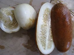 Heirloom cuke seeds