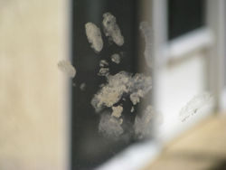Delaney window handprint