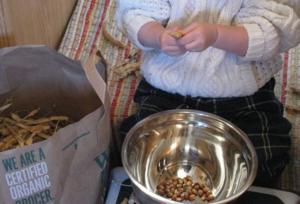 Delaney shelling beans