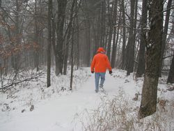 Dick snowy hike in our woods