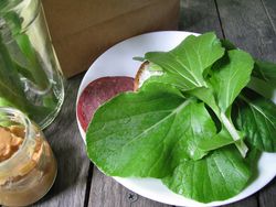 Summer sausage sandwich