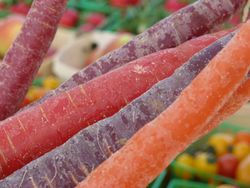 Multi-colored carrots